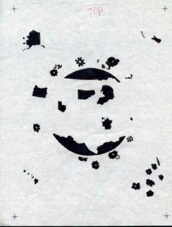 Jack Davis Artwork : Scott 1953 State Bird and Flowers