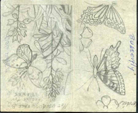 Ralph Dyer Artwork : Scott 1712-15, Butterflies