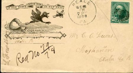 US 1899 Insect illustration on Cover