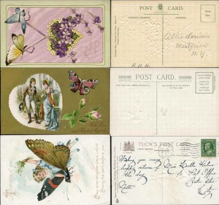 US 1900 PPC's of Butterflies