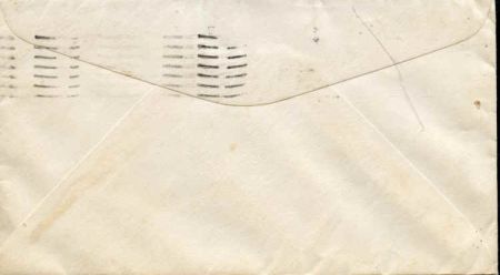 US 1939 Butterfly Hand painted cover