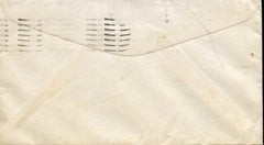 US 1939 Butterfly Hand painted cover