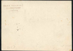 Austria 1930 Schlesien Round Flight PC