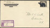 US New York, Talcville 623 Fancy Cancel Cover, Polar Bear