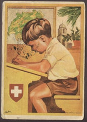 Switzerland 1930 Dortmund Flight S.77A