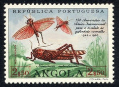 Angola 447 NH Insect - locust