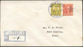 US Illinois, White Heath 560, 561 Fancy Cancel Cover, Star