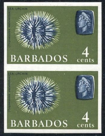 Barbados 270a VF-XF/NH Vert. Imperf Pair Sea Urchin