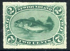 Newfoundland 38 XF H Mint Extraordinary Rich Color cv 200.00