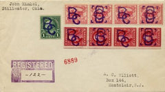 US New York, Braisie 09, 597, 629 Fancy Cancel Cover