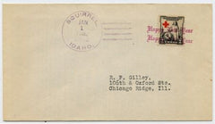 US Idaho, Squirrel 702 Fancy Cancel Cover, New Year