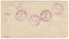 US Illinois, Washington Park 707 on Registered Fancy Cancel Cover, Ovals