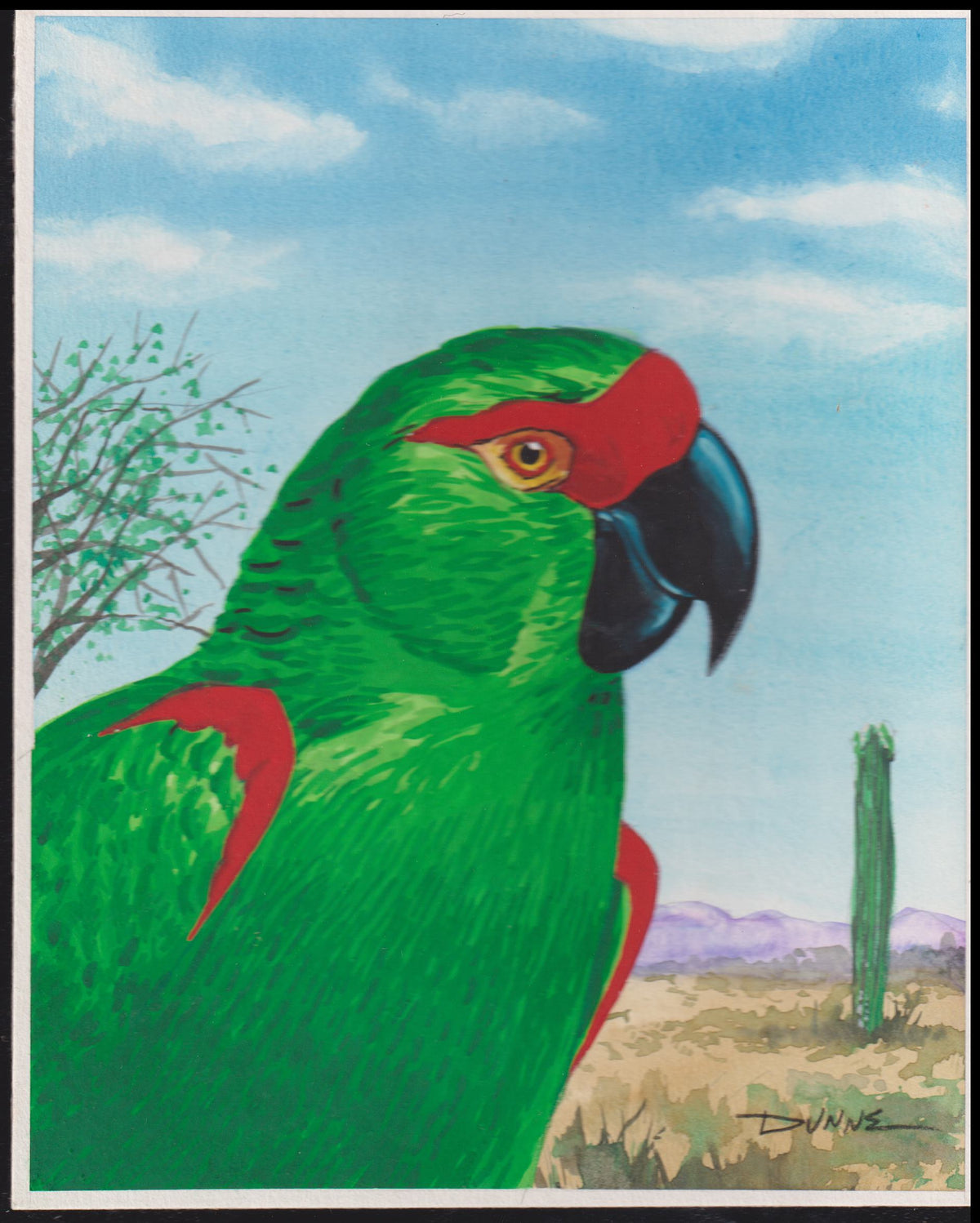 US Cachet /Stamp Artwork - Colorano #3105b