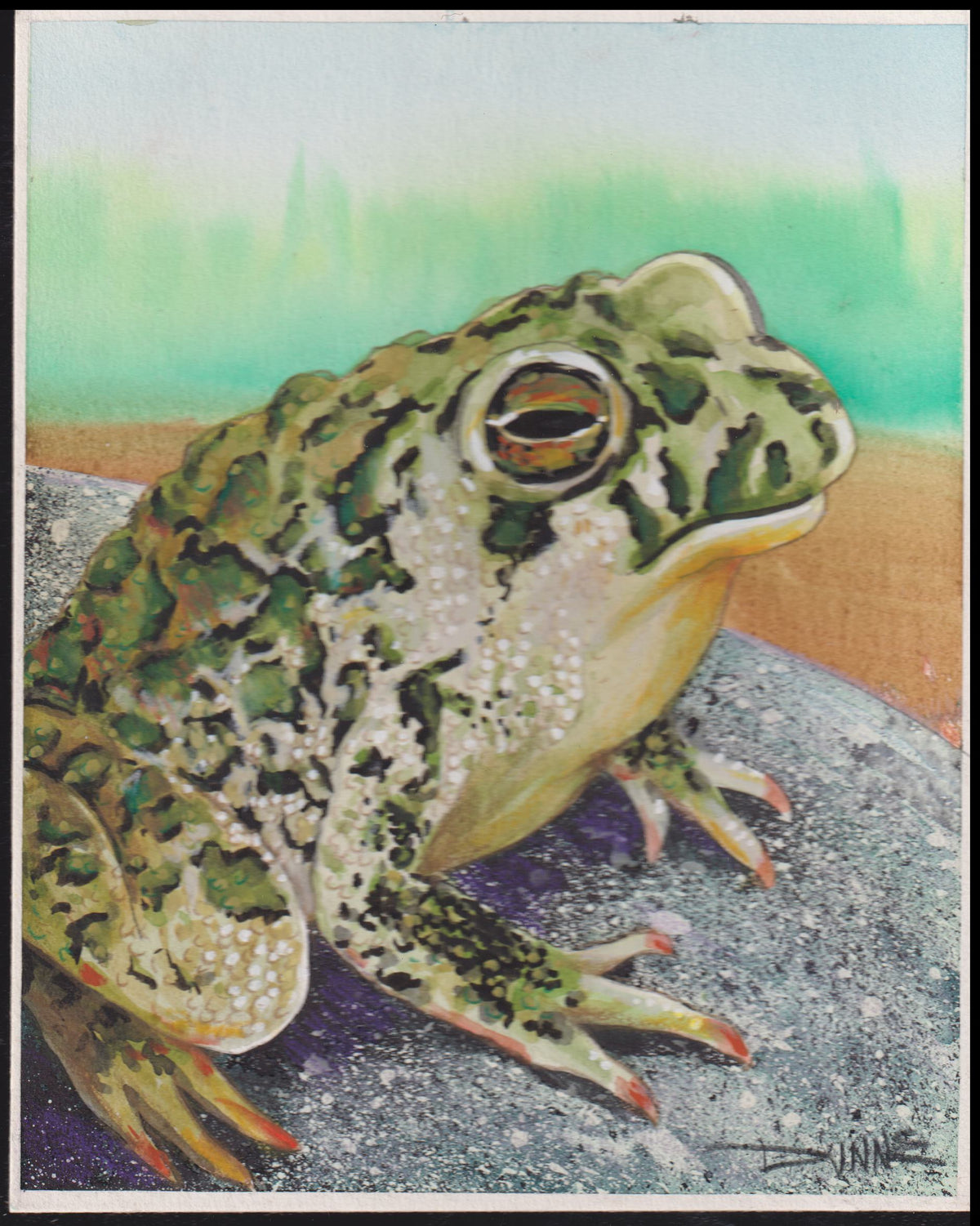 US Cachet /Stamp Artwork - Colorano #3105g