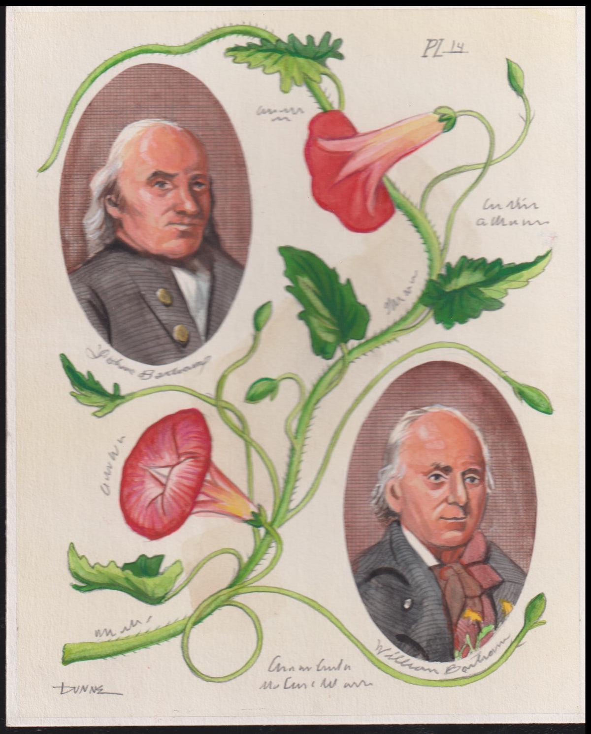 US Cachet /Stamp Artwork - Colorano #3314