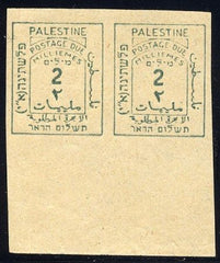 Palestine J2 VAR VF Unused NH Margin Imperf Pair