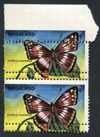 Nagaland 1969 Mi 169 NH pair with dramatic horizontal misperf through design!