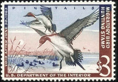 US RW29 Duck Stamp XF - Sup NH PFC Grade 95