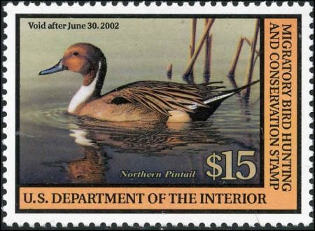 US RW68 Duck Stamp XF - Sup Mint PSE Grade 95