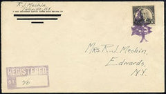 US New York, Talcville 623 Fancy Cancel Cover, Tree