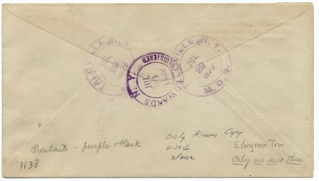 US New York, Talcville 623 Fancy Cancel Cover, Tree