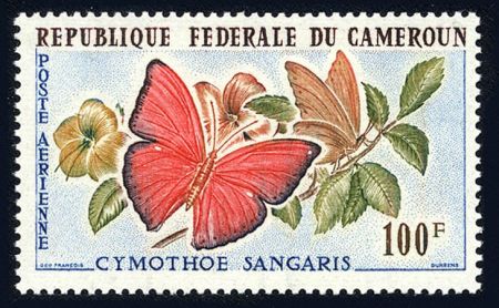 Cameroun C42 NH Butterfly