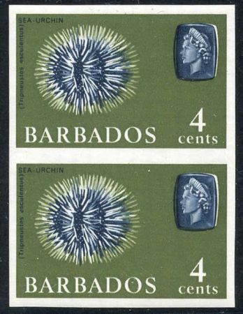 Barbados 270a VF-XF/NH Vert. Imperf Pair Sea Urchin