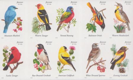 US 4882-91c Modern Imperf Songbirds(10) Pane of 10