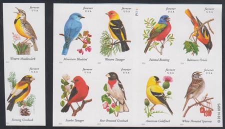 US 4882-91c Modern Imperf Songbirds(8+2) Set of 10