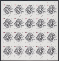 US 4959a Modern Imperf 49¢ Roses Sheet
