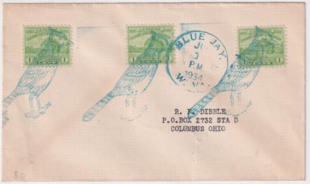 US West Virginia, Blue Jay 728 Fancy Cancel Cover, Bird Cancel