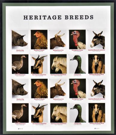 US 5583-92c Modern Imperf Heritage Breeds Sheet