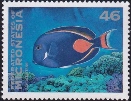 US 217 Trust Territories Micronesia NH VF Achilles Tang (1996)