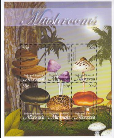 US 516 Trust Territories Micronesia NH VF Mushrooms M/S