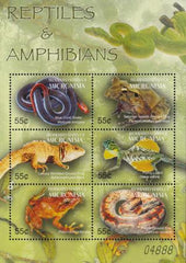 US 623 Trust Territories Micronesia NH VF Reptiles & Amphibians M/S