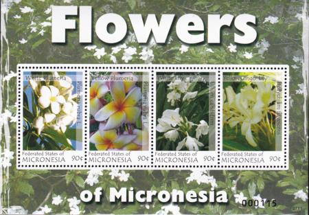 US 744 Trust Territories Micronesia NH VF Flowers M/S