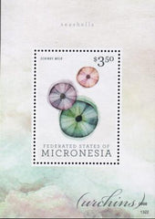 US 1040 Trust Territories Micronesia NH VF Seashells S/S