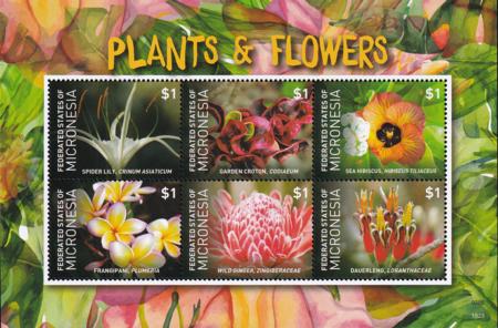 US 1187 Trust Territories Micronesia NH VF Plants And Flowers