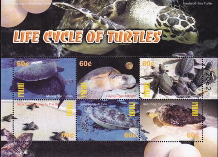 US 746 Trust Territories Palau NH VF Turtles M/S