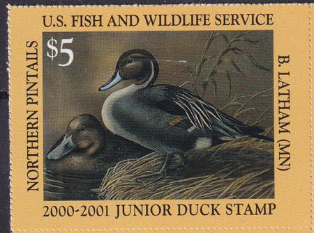 US JDS8 Junior Duck Stamp VF NH 2000-01 Single