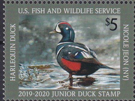 US JDS27 Junior Duck Stamp VF NH 2019-20 Single