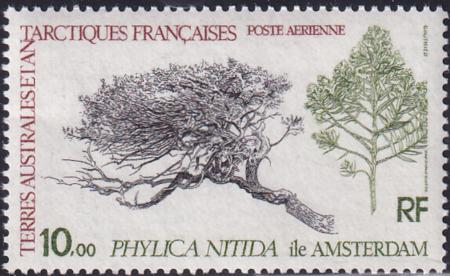 French Southern & Antartic Territories C59 Tree