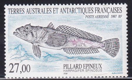 French Southern & Antartic Territories C144 Fish