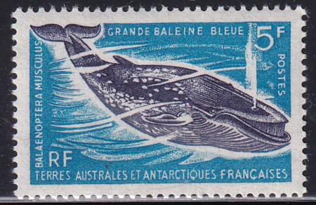 French Southern & Antartic Territories 25 Whale