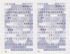 US Modern Imperf 2022 Complete Year Set - Pairs