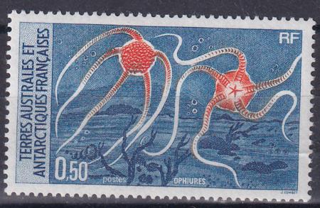 French Southern & Antarctic Territories 125 Marine Life