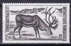 French Southern & Antarctic Territories 130 Reindeer