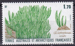 French Southern & Antarctic Territories 133 Grass