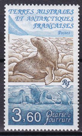 French Southern & Antartic Territories 162 Sea Lions