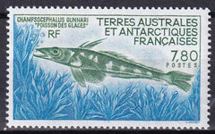 French Southern & Antartic Territories 164 Fish